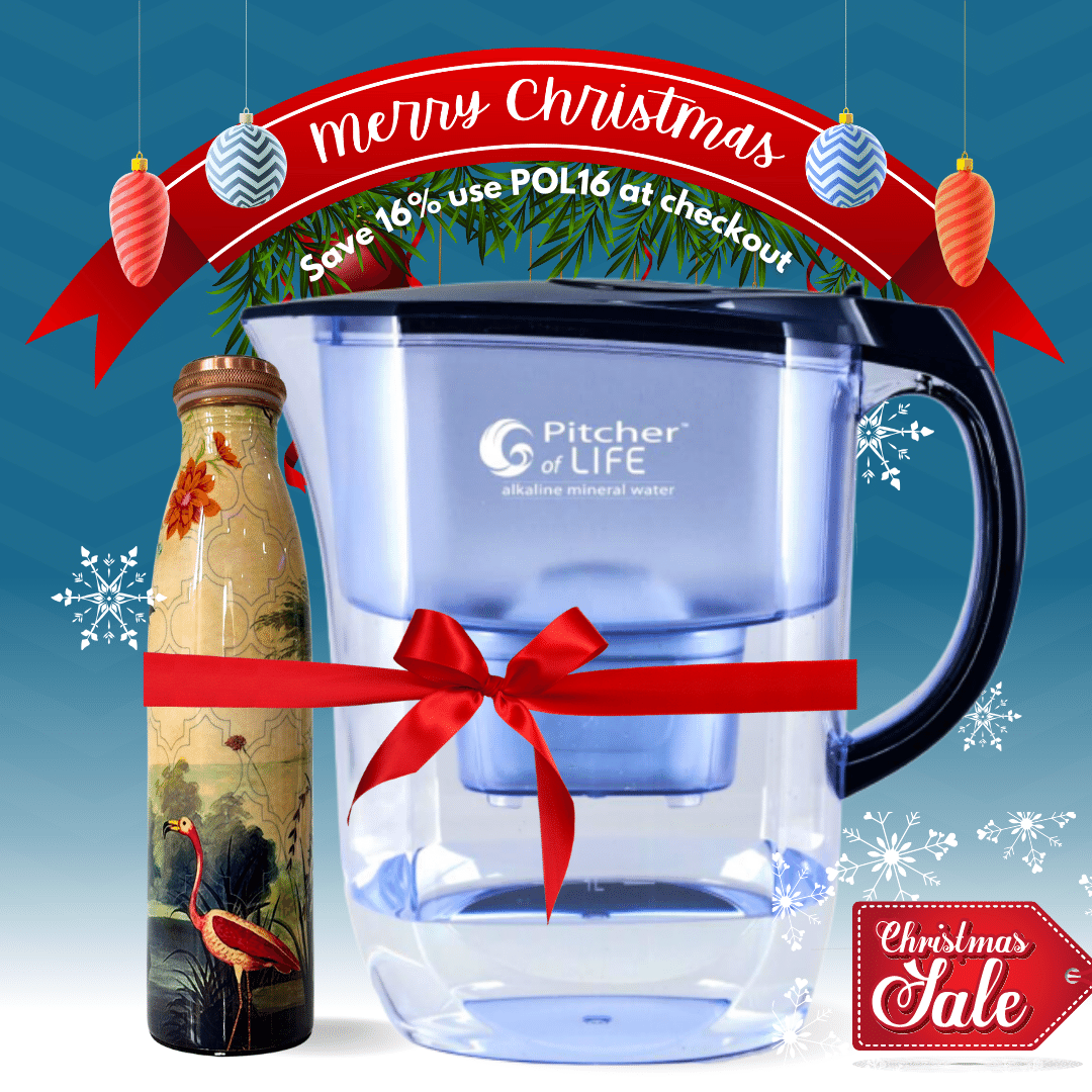 Purified Alkaline Water to Go! Take Your Health with You