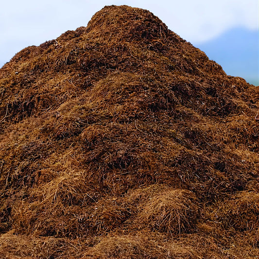 Compost HVO Growing Soil