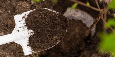 Small white shovel with soil in a natural setting