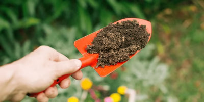 Topdressing